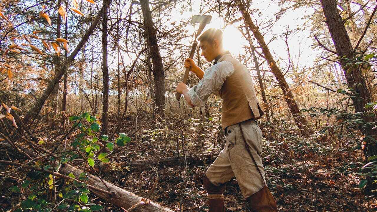 Best Tree Trimming Near Me  in Laingsburg, MI